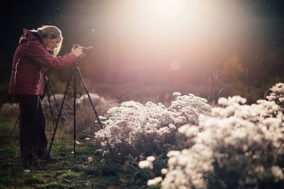 Avgerini Dosi Portrait